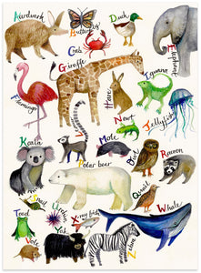 The A-Z of Animals