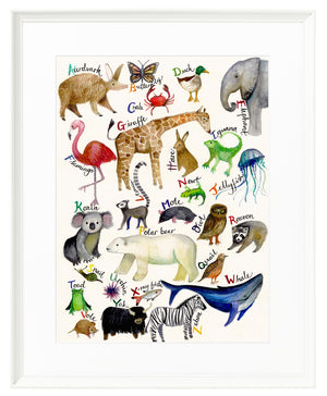 The A-Z of Animals